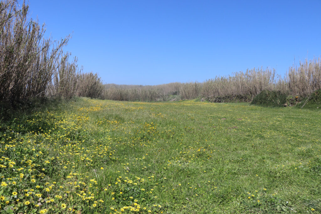 Campos agrícolas4