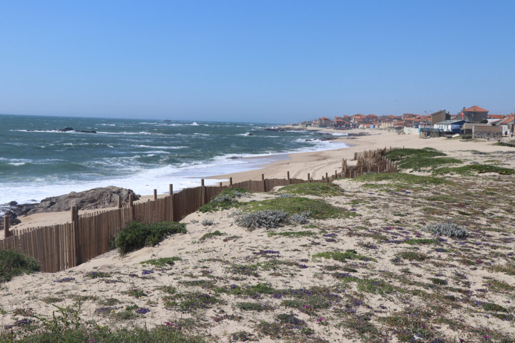 Dunas e Vila Chã (Vila piscatória)